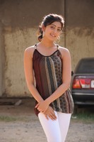 Actress Praneetha Stills